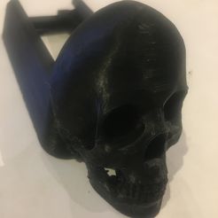 skull.JPG presentation mag