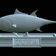Tuna-model-18.png fish tuna bluefin / Thunnus thynnus statue detailed texture for 3d printing