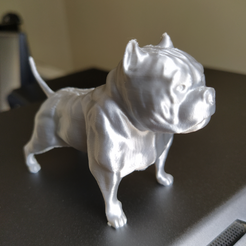 11.PNG Archivo STL American Bully・Modelo para descargar e imprimir en 3D