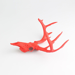 Capture d’écran 2017-03-28 à 15.33.57.png Download free STL file Deer Skull • 3D printable design, HarryHistory