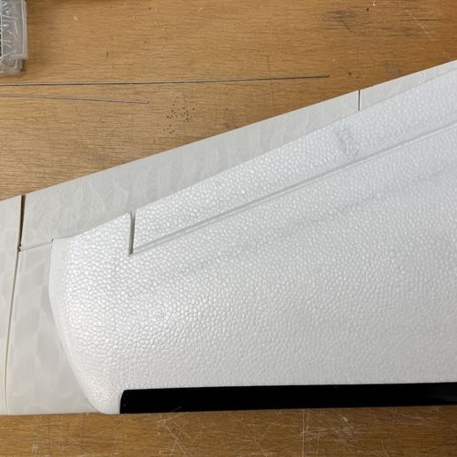 IMG_5618.jpeg AtomRC Dolphin großer Flügel Umbau