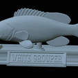 White-grouper-statue-43.png fish white grouper / Epinephelus aeneus statue detailed texture for 3d printing