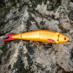 IMG_20200607_223124.jpg 4-Piece-Swimbait fishing lure 14cm (easy print and build!)