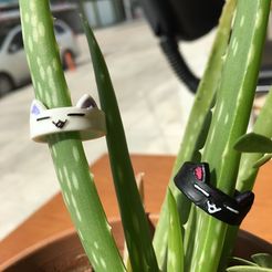 lindo anillo de gato