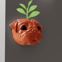 2.png Jardinera de pared con cabeza de carlino