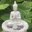 Captura-de-tela-2026-01-31-150313.png Buddha figurine in a lotus flower.