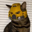 IMG_3738.jpeg SpaceMarine Cat Helmet Mark VIII