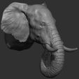 48.jpg Elephant head