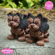 ee.jpg Print In Place Cute Flexi Yorkshire Dog