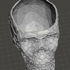 skull-hollow-voronoi-01.jpg Archivo OBJ gratis Cráneo hueco voronoi・Diseño por impresión en 3D para descargar