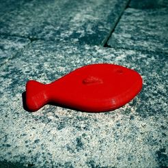 1.jpg Free STL file Pool-Fish・3D printing idea to download