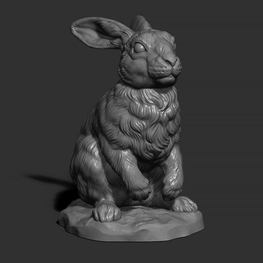 8.jpg Rabbit sitting