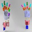 mano_piezas_y_colores_8_x6.jpg Prosthetic  Hand