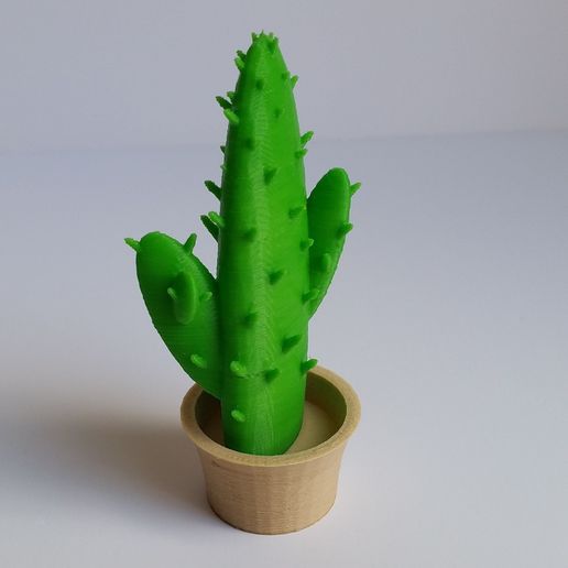 Cactus_in_a_Pot_TN.jpg Archivo STL gratis Cactus in a Pot・Objeto imprimible en 3D para descargar, MaxFunkner