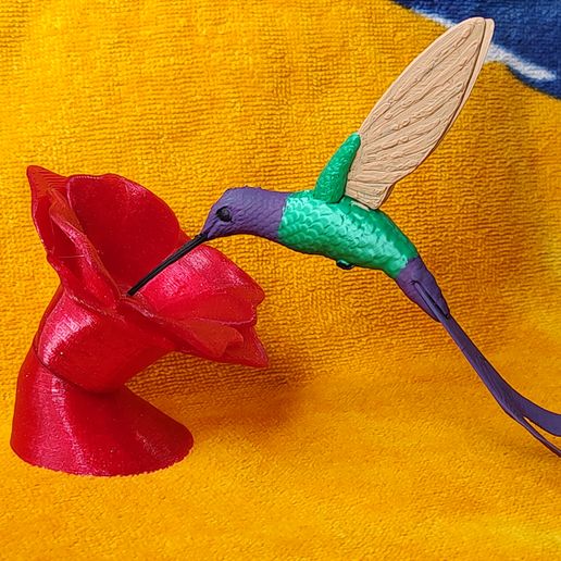 IMG_20240701_145637494.jpg Kolibri