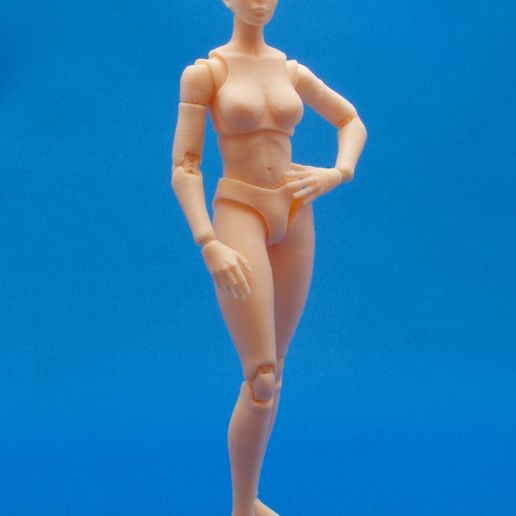 DSC_0012.jpg Datei 3D Articulated Poseable Female Figure・Design für 3D-Drucker zum herunterladen, RikkTheGaijin