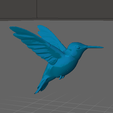 colibri-01.png colibri volando - flying humming bird