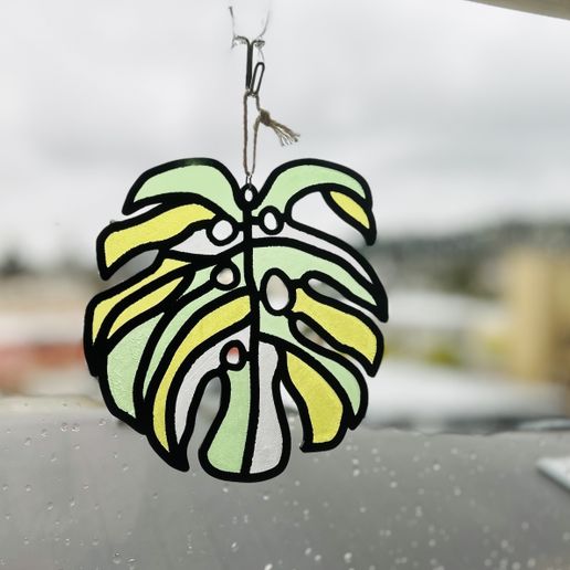 IMG_7094.jpeg Monstera Deliciosa Leaf Suncatcher