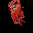 2.jpg Peixe-morcego Halieutaea Stellata RAPE CARPA ÁGUA RIVER OCEANO MAR PESCA ANIMAL Carpa TUBARÃO PEIXE 3D ANIMADO SALMÃO ATUM VERMELHO