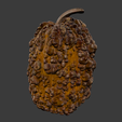Front.png Pimply Pumpkin 3D Model from 3D Scan