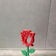 1000006475.jpg Rose éternelle décorative en pot – Impression 3D facile - sans AMS – Cadeau original 🌹