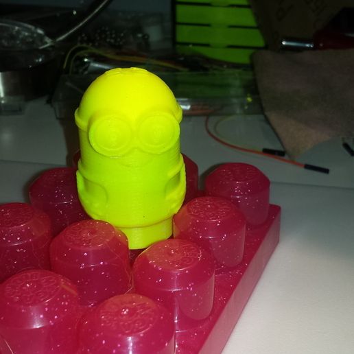 20151230_133011.jpg Blok Minion