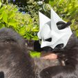 BAT CAT (FREE SIZE TEST) - Helmet
