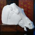 Horse_of_Selene_Progress_Print_display_large.jpg Head of a horse of Selene