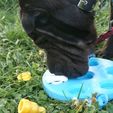 Beatriz3.jpg STL file Dog's game・3D printing design to download