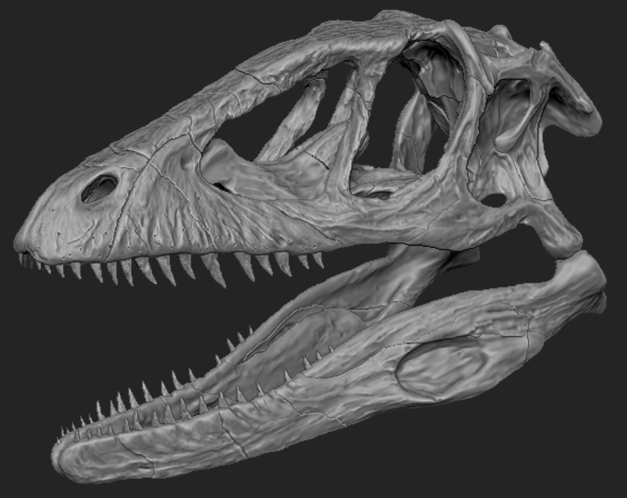1.png Download OBJ file Deinonychus Skull • 3D print design, arric