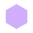 Blank_Steckbar.stl Hexagon World Map