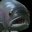 Rainbow-trout-statue-25.png fish rainbow trout / Oncorhynchus mykiss open mouth statue detailed texture for 3d printing