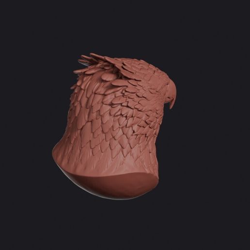 martial_eagle_0007.jpg Martial Eagle Head Bust Wall Mount