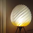 WhatsApp-Image-2026-03-08-at-17.58.05.jpeg Lámpara Spiral Glow