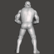 Screenshot-1234.png WWE WWF LJN Style NWO Hollywood Hogan Custom Flexing Sculpt