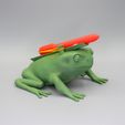 Missile-toad-front-side-loaded.jpg Missile toad toy