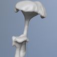 2023-04-21-10_32_54-ZBrush.jpg naturalist sculpture mushrooms girolle
