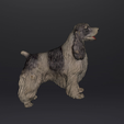 2022-01-17-21_51_53-EXScan-S.png FIGURINE OF ENGLISH COCKER SPANIEL DOG MASCOT .STL .OBJ
