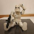 4.jpg Stormtrooper Articulated