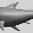 17_TDA0486_SharkA02.png Shark
