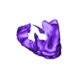 brain - STLOccipital_Lobe.stl 3D Right Brain Hemisphere Model