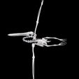 2.jpg Pelican SKELETON SKELETON WINGS ANATOMY BONES WINGS BIRD TADPOLE ANIMAL ANATOMY 3D MODEL WATER OCEAN RIVER