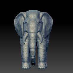 Elephant-3d-model-1.jpg STL file Realistic Elephant 3d model・Design to download and 3D print