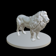 Capture-d’écran-2023-07-06-à-10.49.59.png lion & liones