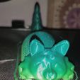 Flexi Fox