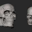 Screenshot_10.png Male Skull