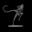 Untitled2.png Воин Ксеноморфа - Статуэтка AVP, сделанная фанатами (Display Scale STL)