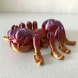 Niedliche Flexi Print-in-Place Spinne
