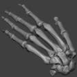 2.png Human Hand Skeleton (Articulated Bones)