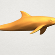 TDA0328 Dolphin (ii) A05.png Dolphin 02